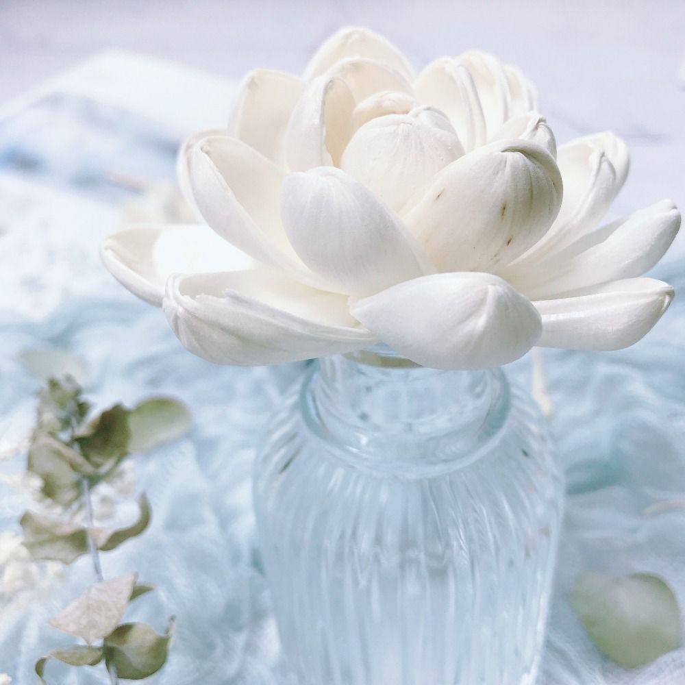 Home Fragrance Diffuser Sticks - Geurstokjes voor thuis, handgemaakte aromatherapie bloemdiffuser,