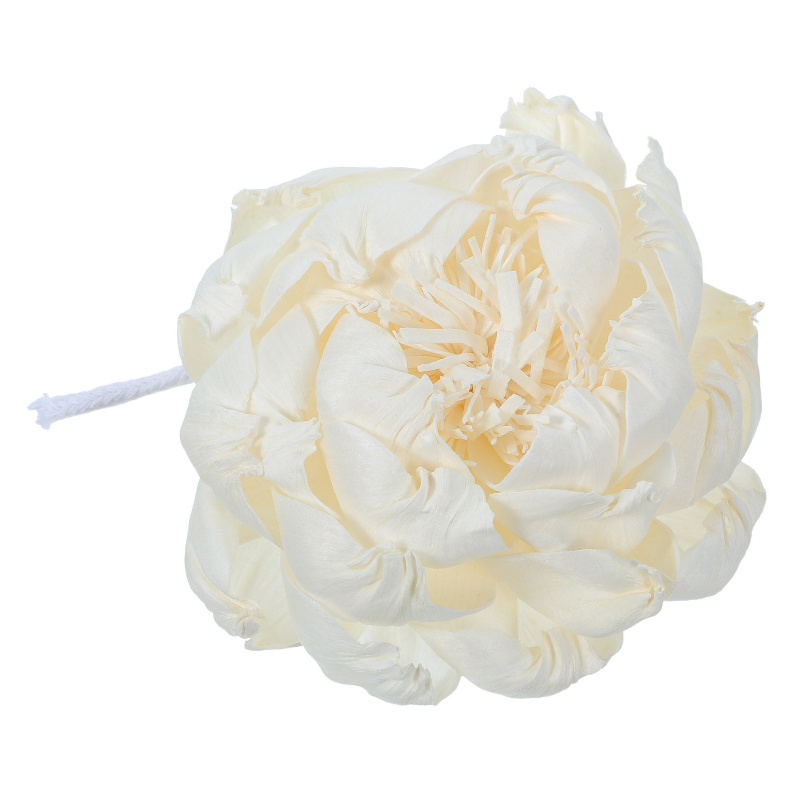 Pioenroos Geurverspreider 12Cm - Home Fragrance Oils For Diffusers recensie en prijs