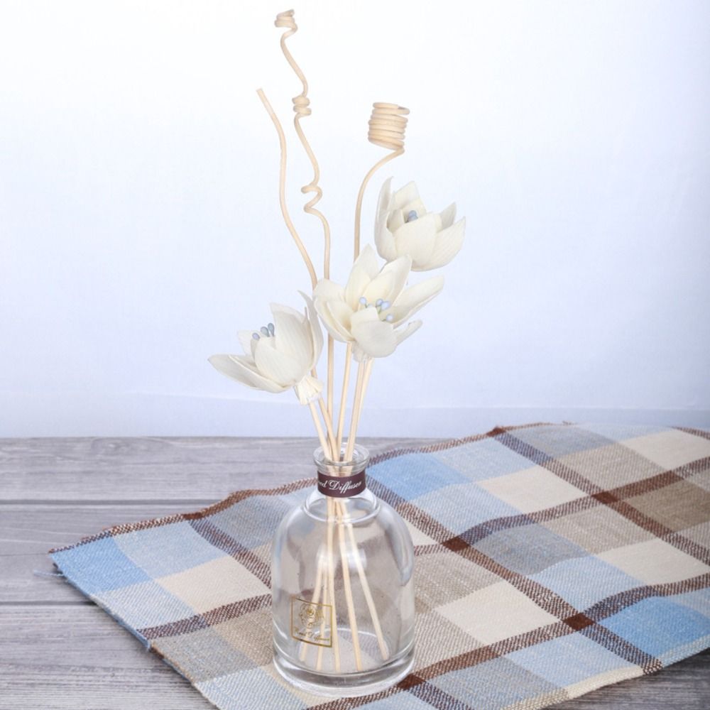 Multifunctionele 5cm natuurlij - Home Fragrance Diffuser Sticks recensie en prijs