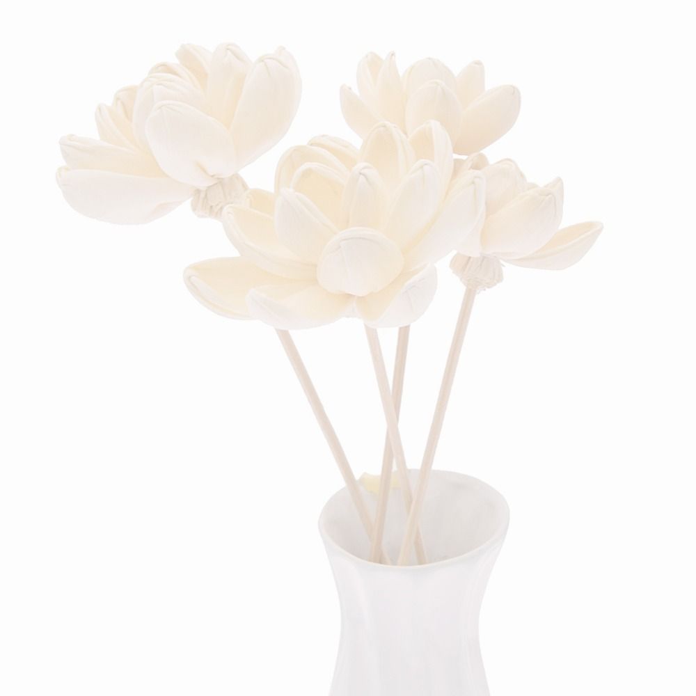Geurstokjes voor thuis, handge - Home Fragrance Diffuser Sticks recensie en prijs