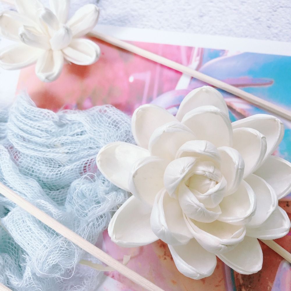 Geurstokjes voor thuis, handge - Home Fragrance Diffuser Sticks recensie en prijs